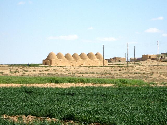 Auf der Fahrt von Rusafa nach Palmyra liegt endlich eines der früher für Syrien so typischen „Bienenkorbhäuser“ am Weg.