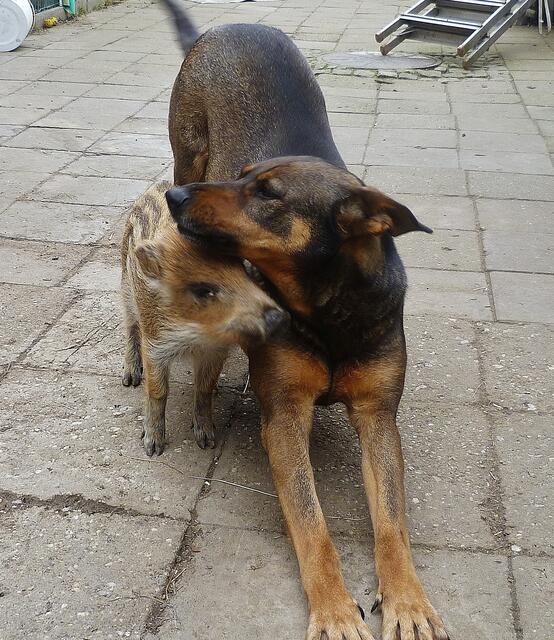 15.3.2012 .... ich hab Dich lieb !