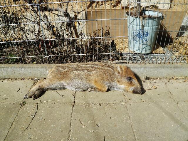 20.3.2012 .... so mag Ich es,Ruhe und Sonne !