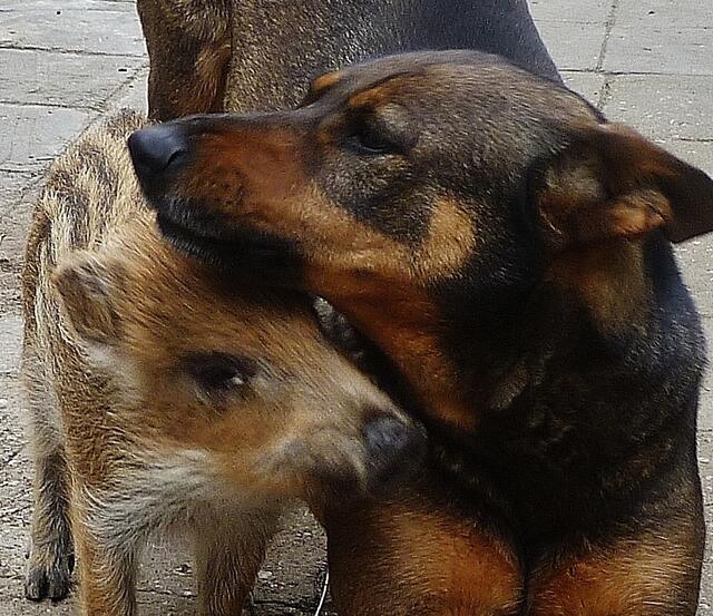 15.3.2012 .... ich hab Dich lieb !