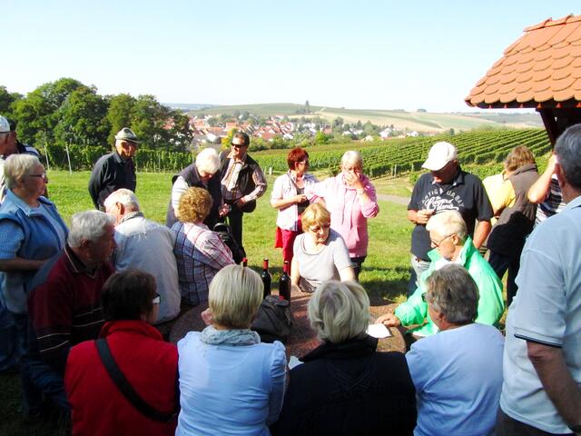 Die erste Weinprobe mit Imbiss in den Weinbergen