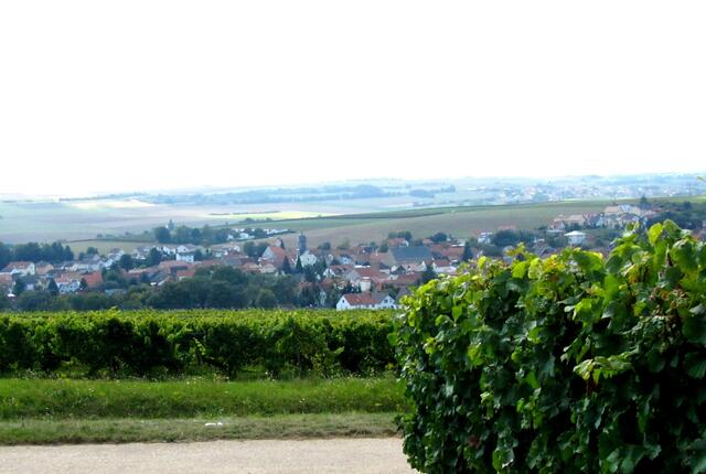 ........  von hier ein Blick auf Weinheim
