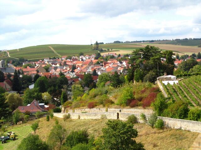 Blick vom Turm auf Weinheim
