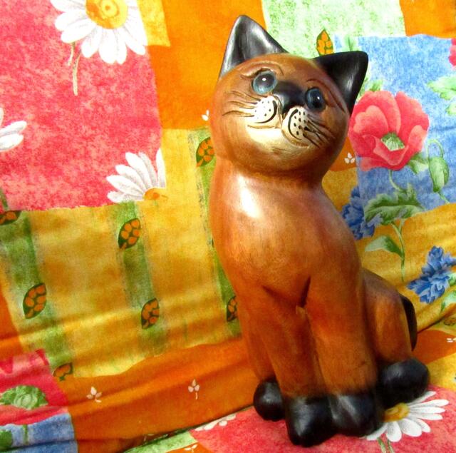 ...... eine schöne Katze ......