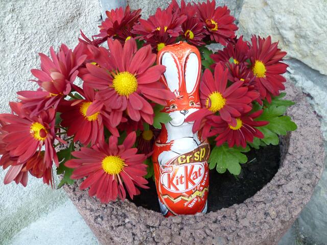 Ostern am 8.4.2012 !