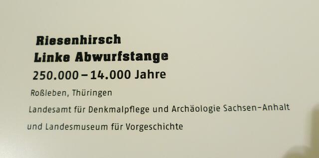 Abwurfstange eines ... !