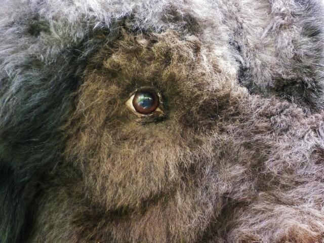 ... wir werden beobachtet !