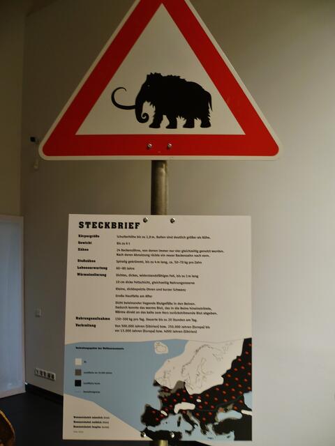 Achtung Mammut kreuzt den Weg !