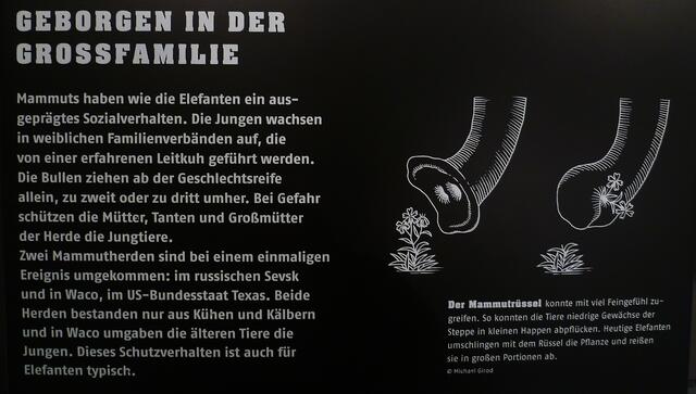 Geborgen in der ... !