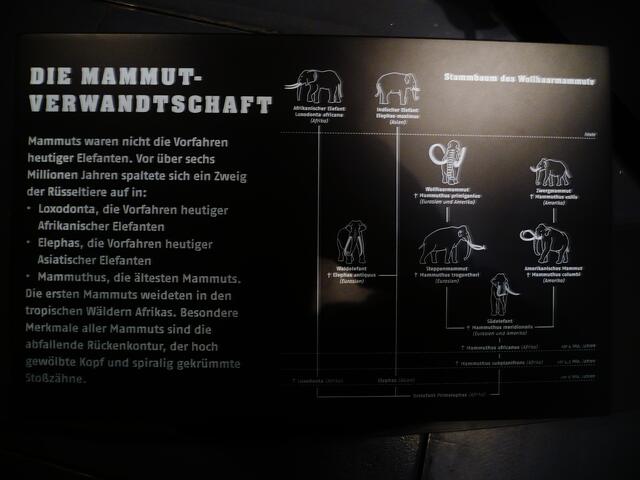 Verwandtschaft ... !