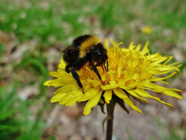 Endlich mal wieder erwischt,unser Gruppenbild !