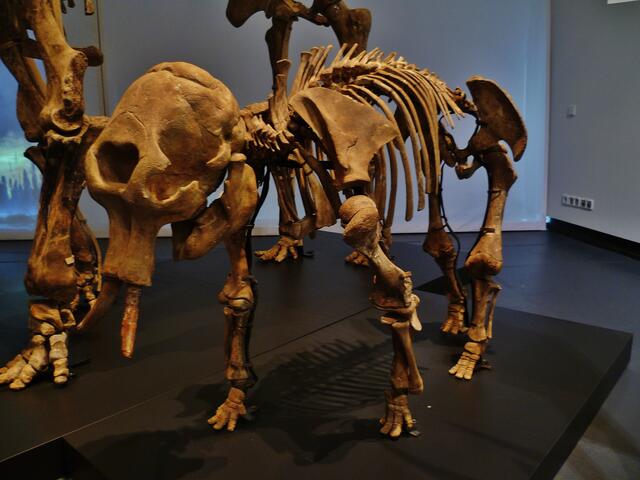 EISZEITRIESEN .... Mammuts und Höhlenbär in Nebra !