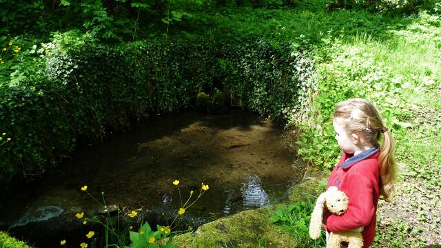 .... gefasste Quelle das ....