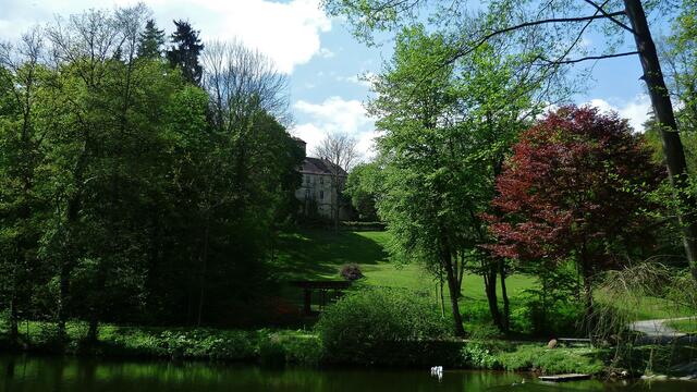 Schloßgartenteich,ehemaliger Mühlteich mit Blick zum Schloß !