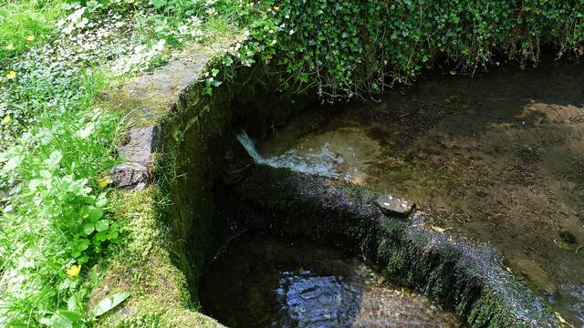 ..... sogenannte Goldfischbecken !