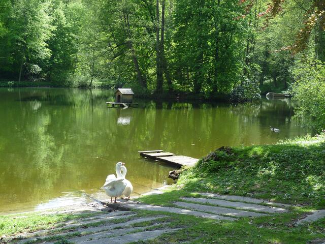 Schloßgartenteich,ehemaliger Mühlteich !