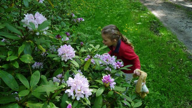 .... hmmm wie das schnuppert !