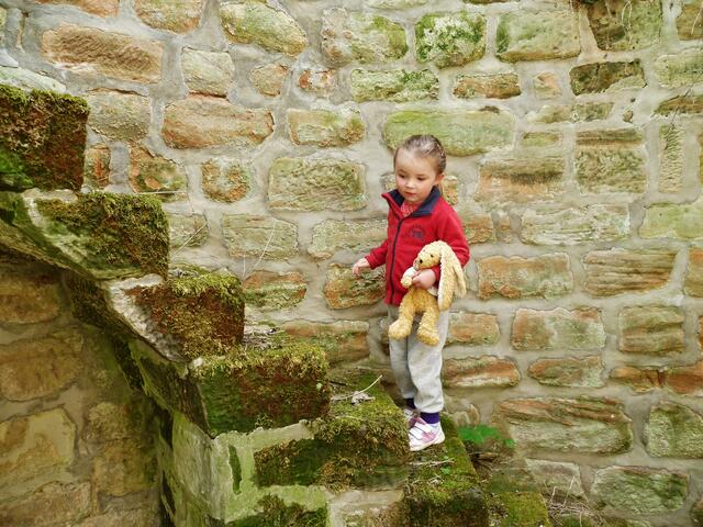... alte Treppenstufen die "Henry" gleich beschnuppern wollte !