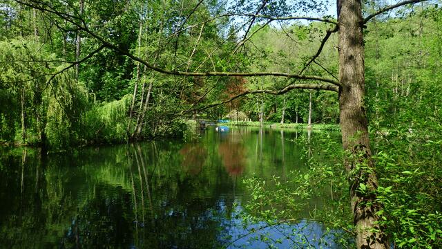 Schloßgartenteich,ehemaliger Mühlteich !