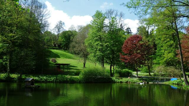 Schloßgartenteich,ehemaliger Mühlteich !