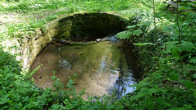 ..... sogenannte Goldfischbecken !