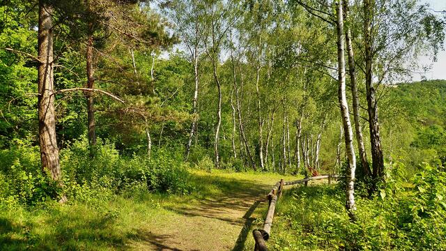 Sommerhangende !