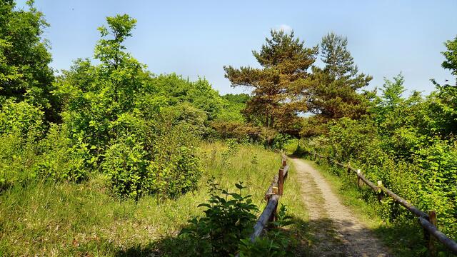 Sommerhang am 19.5.2012 !