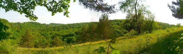 Panorama Sommerhang Mai 2012 !