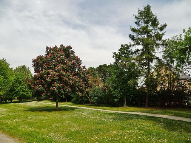 .. am 21.5.2012 im Stadtpark Naumburg !