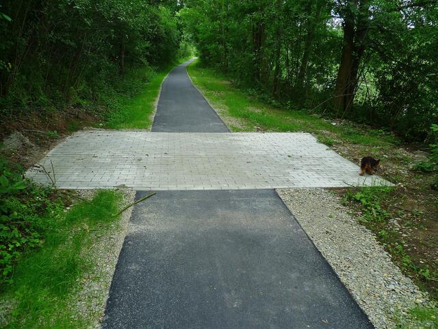 Der neue Radweg 2012 - mit Überlauf in die Unstrut !