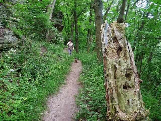 Wanderrundweg 2012 !