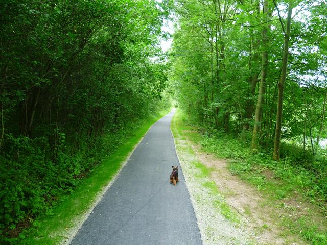 Der neue Radweg 2012 !