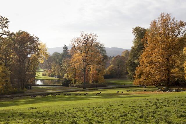 Das Wildgehege im Gräflichen Park