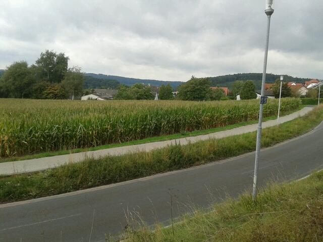 In der Nähe des Anzefahrer Friedhofs und der Mehrzweckhalle, Richtung Sindersfeld, wurde das Maislabyrinth angelegt.