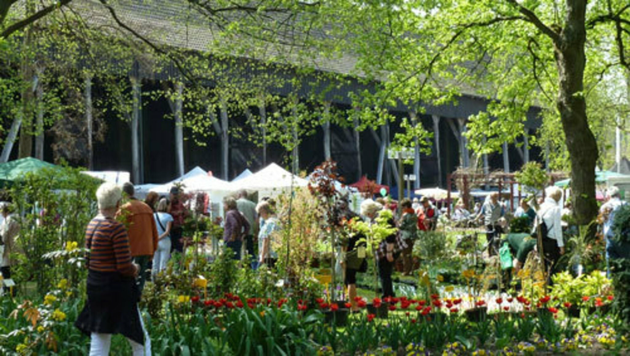 Garten und Wellnessfest im Kurpark Bad Salzdetfurth 3. und 4. Mai 2014