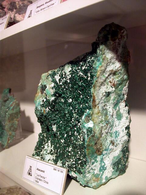 Benannt nach der Atacamawüste in Chile: Atacamit | Foto: Museumsarchiv