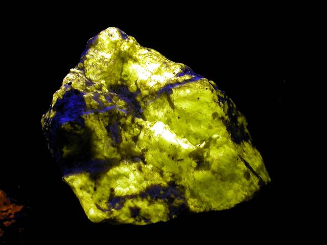 Unter UV-Licht wird ein grauer Stein zu einer leuchtenden Kostbarkeit | Foto: Museumsarchiv