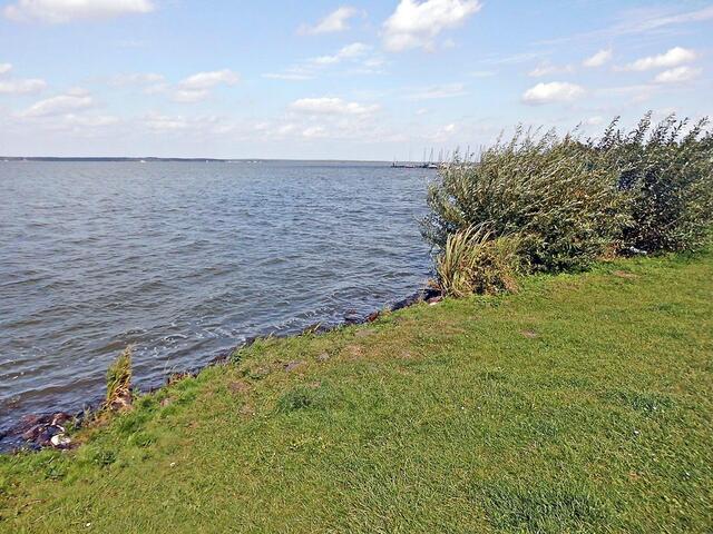 Steinhuder Meer 2014