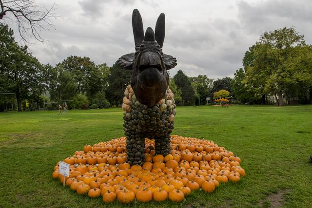 Kürbisschlachtfest im egapark Erfurt | Foto: SCHWARZE-art-PHOTOGRAPHIE