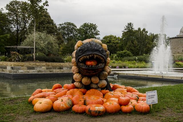 Kürbisschlachtfest im egapark Erfurt | Foto: SCHWARZE-art-PHOTOGRAPHIE