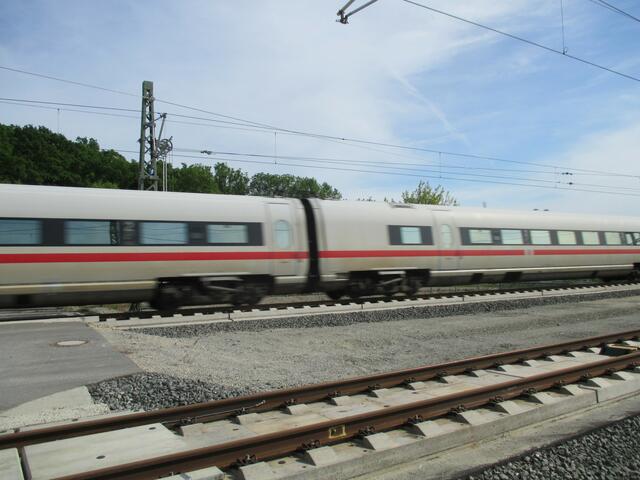 22.5.2016 - leider nicht richtig erwischt - aber es klappt schon nochmal !