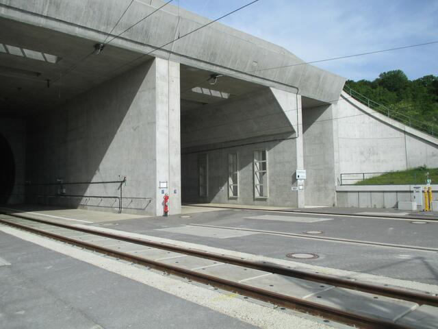 22.5.2016 - leider nicht richtig erwischt - aber es klappt schon nochmal !