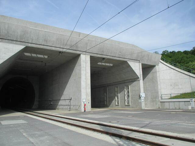 22.5.2016 - leider nicht richtig erwischt - aber es klappt schon nochmal !