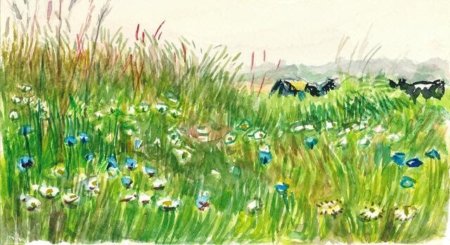 Blumenwiese, Kühe