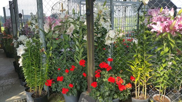 ... Gnadenstätte des ... 