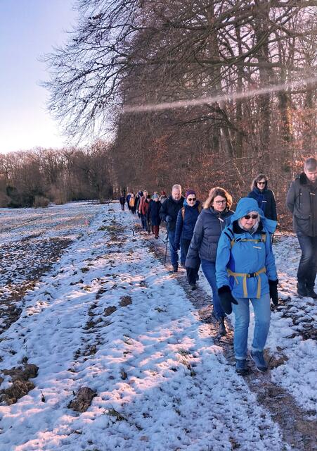 Weg am Waldesrand.