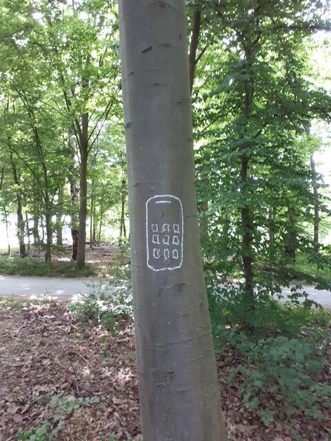 Wald 2.0
