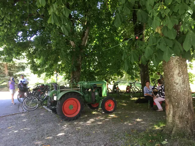 "Der besondere Biergarten" mit Musik unter Kastanienbäumen.