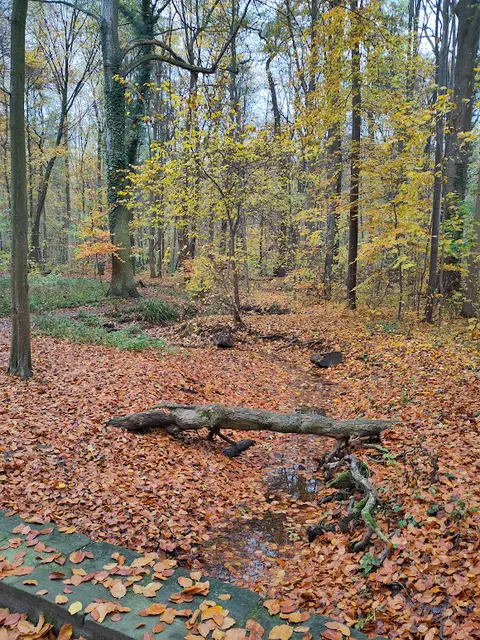 In der Seelhorst | Foto: eigenes Bild