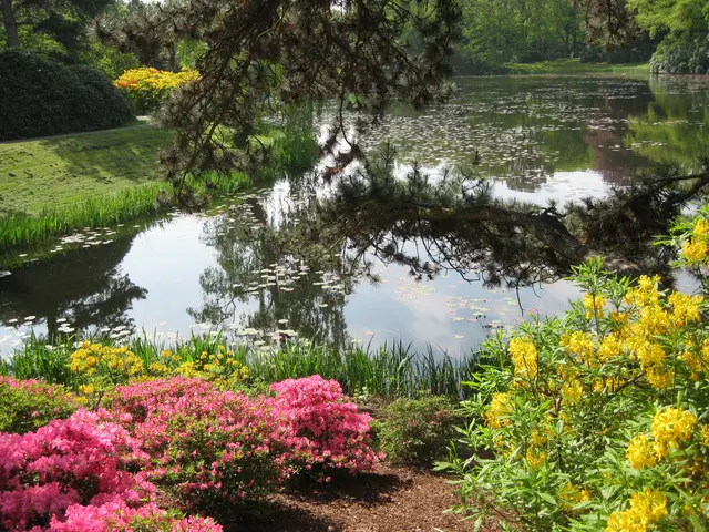 Stöckener Friedhof | Foto: eigenes Bild